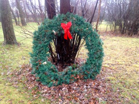 Holiday wreath in nature