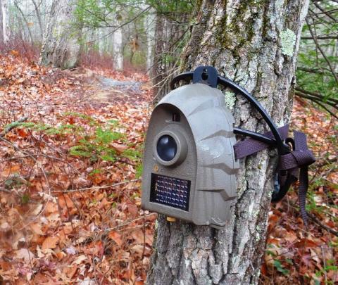 Trail camera