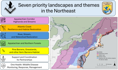 Focal Landscapes graphic