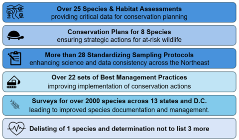 Key Outcomes graphic