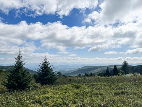 Appalachian Trail near Mt Rogers, Virginia