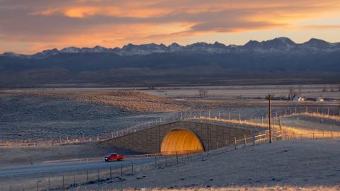 Trappers Point Wildlife Overpass near Pinedale, Wyoming