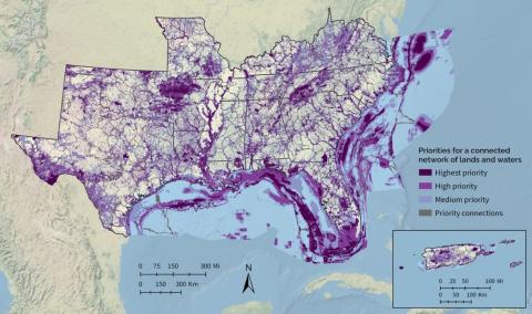 Southeast Conservation Blueprint Version 2025