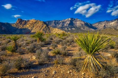 Red Rock Canyon National Conservation Area in Nevada