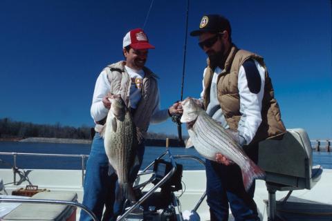 Fishing trip