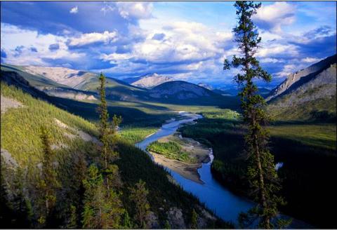 The analysis includes the identification of a suite of candidate benchmark networks options for ecoregions across the study area. The network options can be ranked and refined to best contribute to regional land use plans and associated conservation goals.