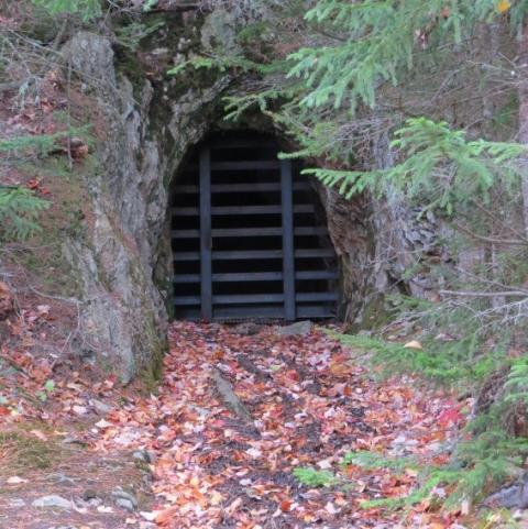 Mine gate