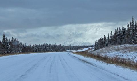 image of boreal landscape