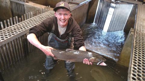Guy Eroh checks Bear River cutthroat trout as part of his internship with the Utah Division of Wildlife Resources in Salt Lake City, Utah. 