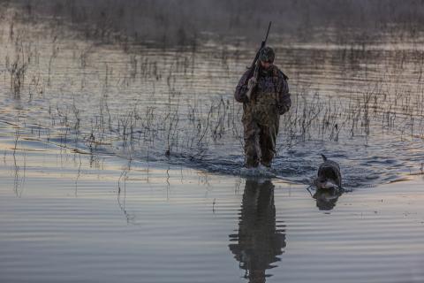Hunter and dog 