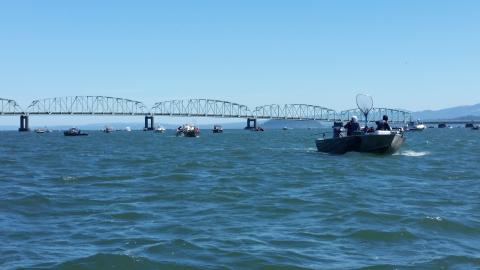 Conducting Chinook salmon research on the Columbia River