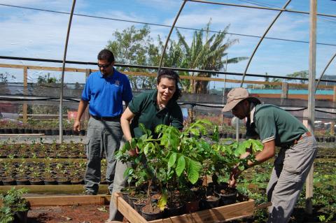 Conservation partners loading a cart of shade trees to provide to coffee farmers