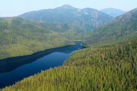 Tongass National Forest