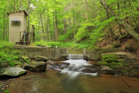 Virginia stream