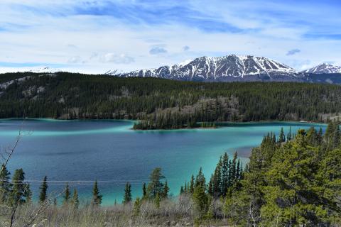 Yukon Territory Landscape