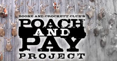 Poach and Pay Logo