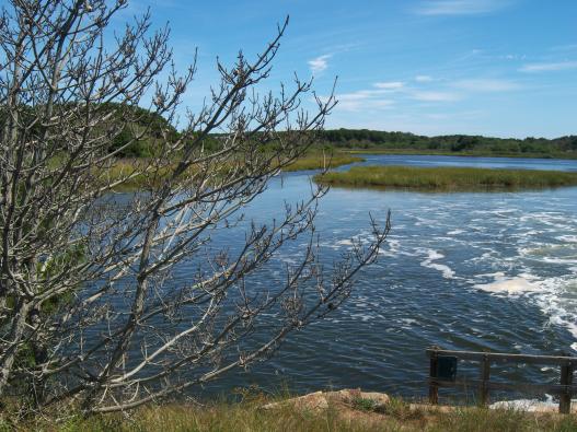 Herring River, Cape Cod, Massachusetts