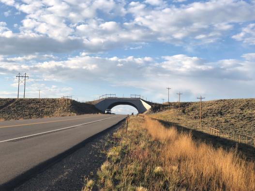 Wildlife overpass on Highway 9 in Colorado 